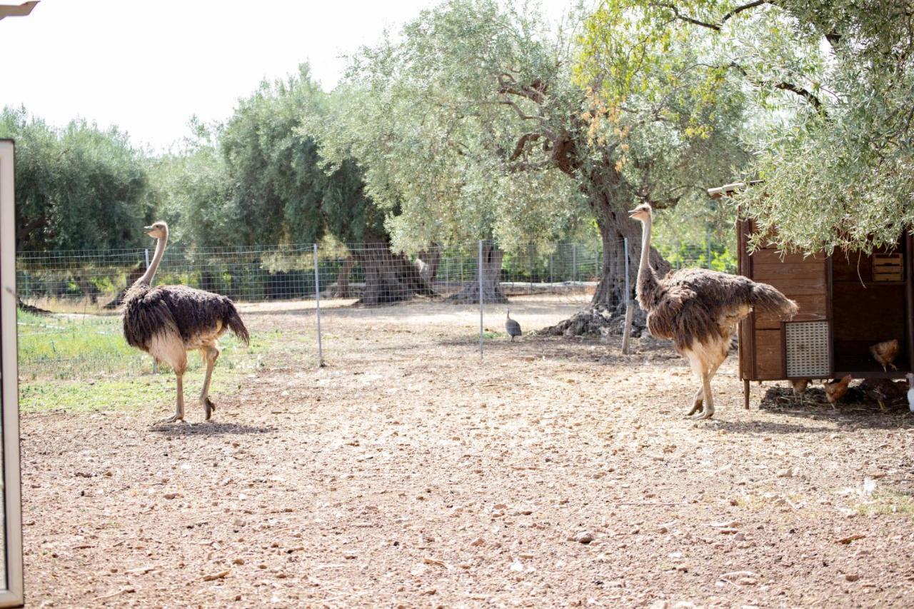 Agroturismo Il Vecchio Frantoio