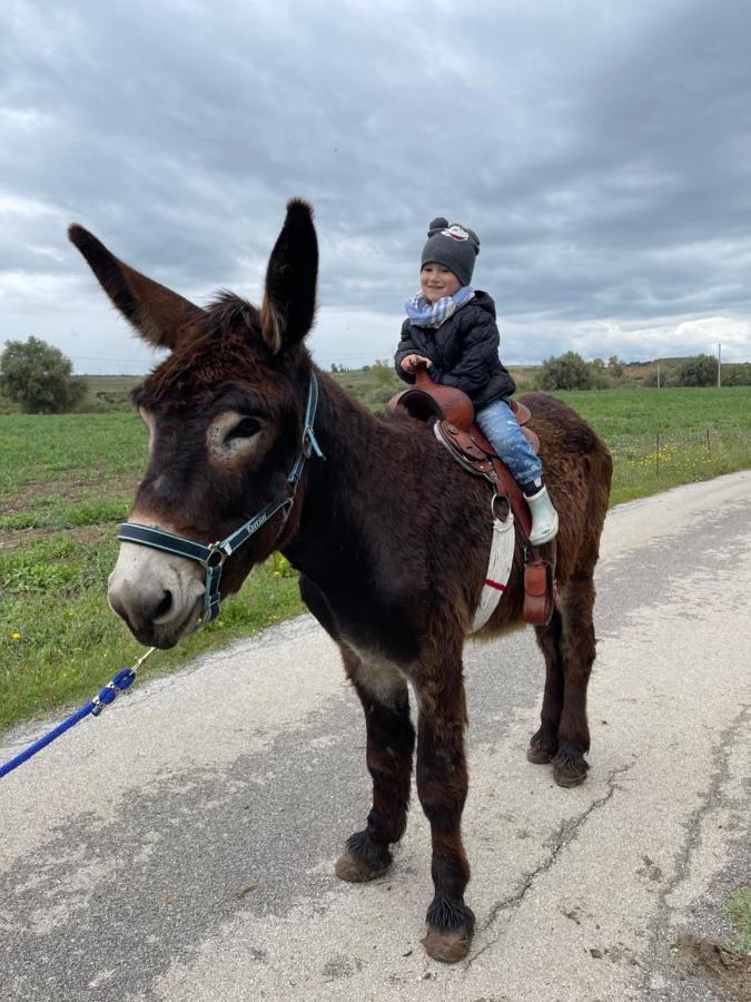 Agroturismo Il Vecchio Frantoio *